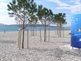 Apartamente Marina