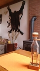 Apartmány Zibar