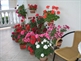 Apartmány Borić