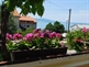 Apartmány Krišković