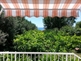 Lägenheter Green Oasis