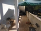 Apartamente Apartments SunSea
