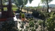 Apartamente STONE HOUSE VLASTA