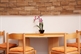 Apartamente Vila Vida
