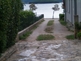 Apartmani Petra
