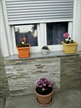 Apartmani Teuta